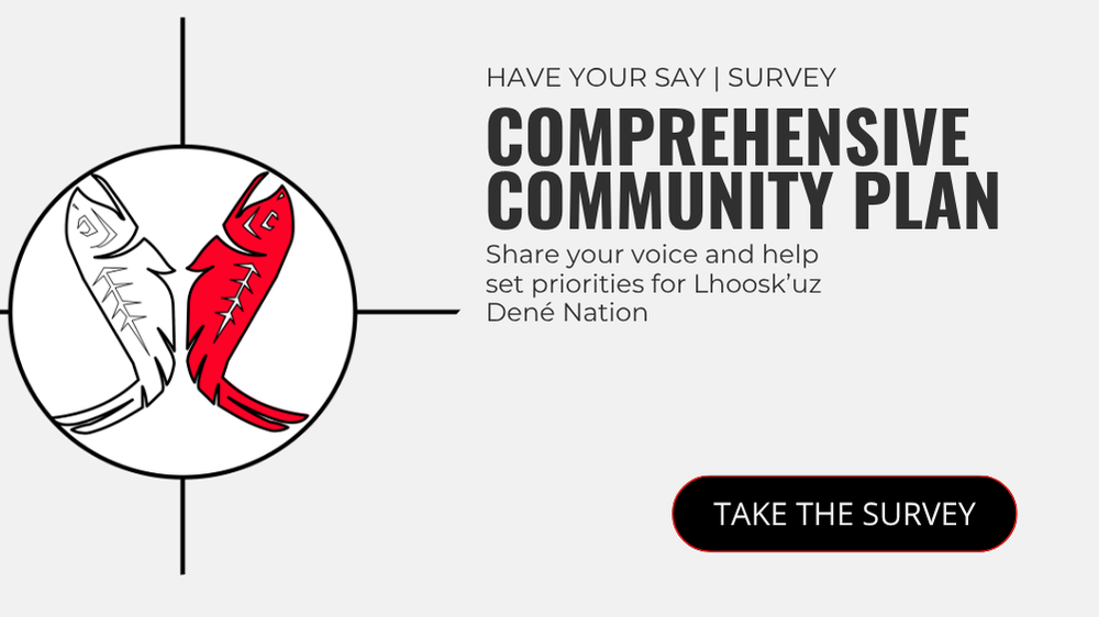Have Your Say: Comprehensive Community Plan Survey